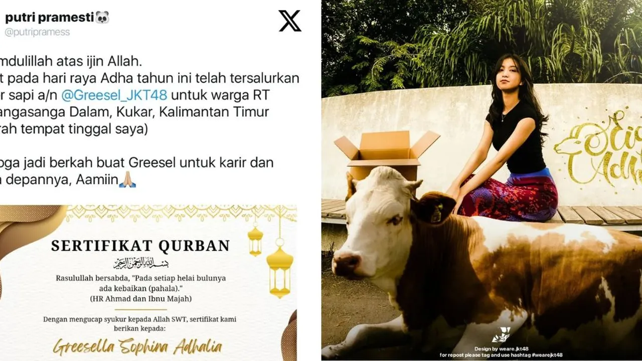Unik, Greesel JKT48 Dapat Hadiah Sapi untuk Kurban dari Fans