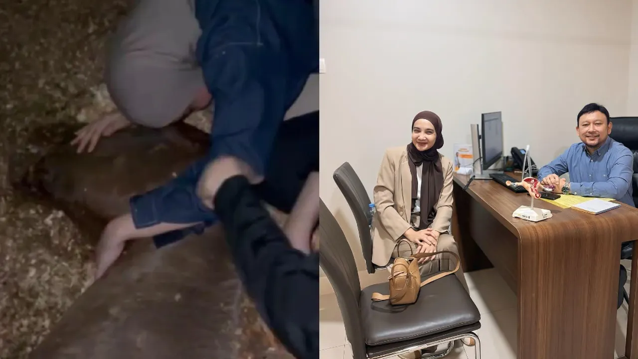 Usai Kehilangan Kuda Kesayangan, Zaskia Sungkar Siap Jalani Lagi Program Bayi Tabung Usai Kehilangan Kuda Kesayangan, Zaskia Sungkar Siap Jalani Lagi Program Bayi Tabung