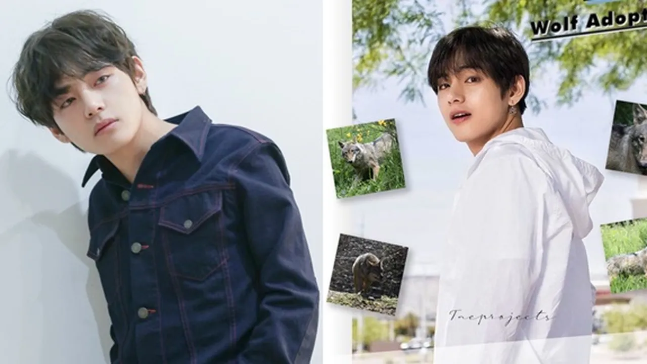 V BTS Ulang Tahun, Fans Rayakan dengan Galang Dana untuk Adopsi Serigala