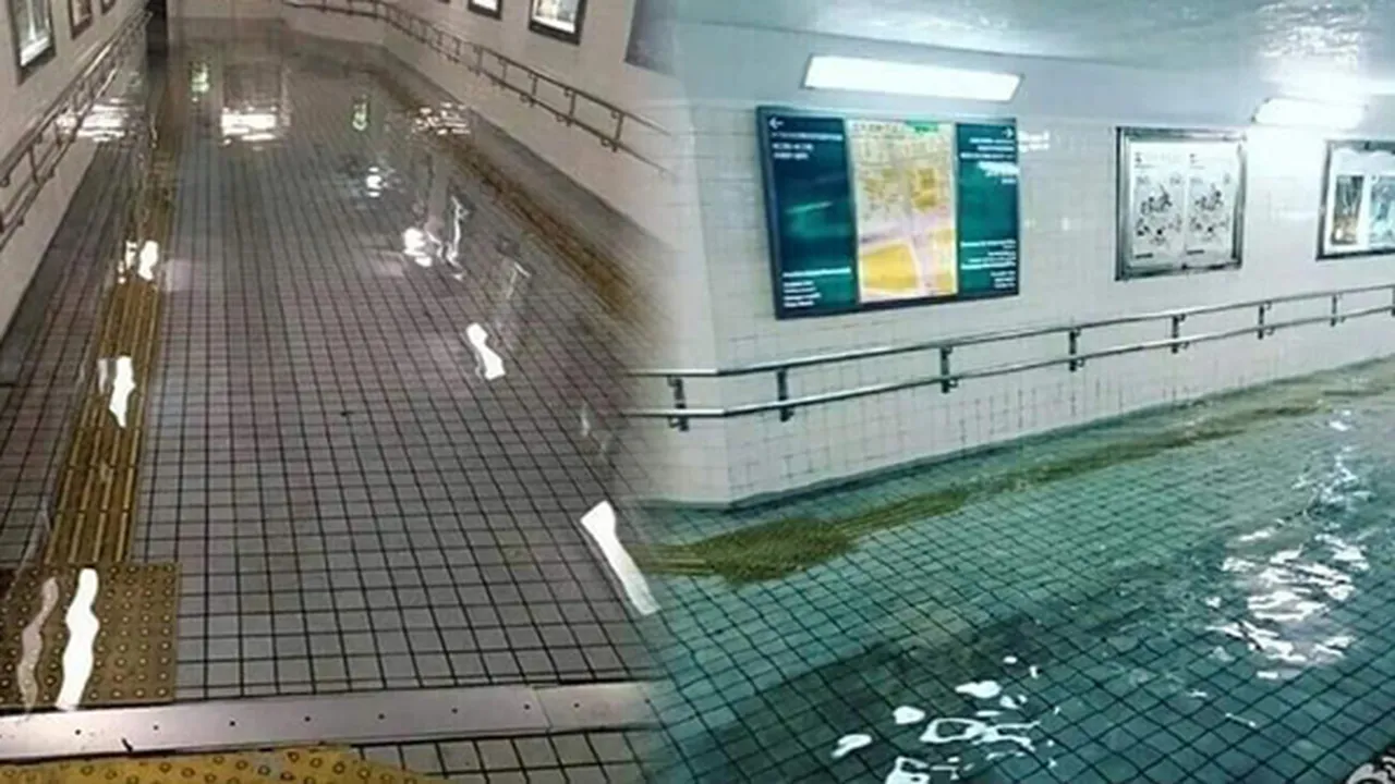 Viral Foto Banjir di Jepang, Airnya Jernih Tanpa Sampah Sedikitpun