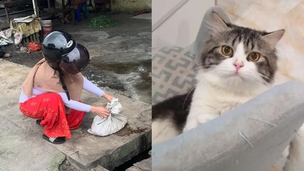 Viral Kucing Hilang Ditemukan Terbunuh, Hanya Sisa Kepala dan Dagingnya Akan Dijual