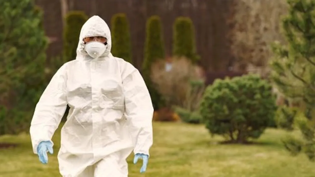 Virus Corona Covid-19 Sudah Mereda? 10 Negara Ini Telah Melonggarkan - Mencabut Lockdown