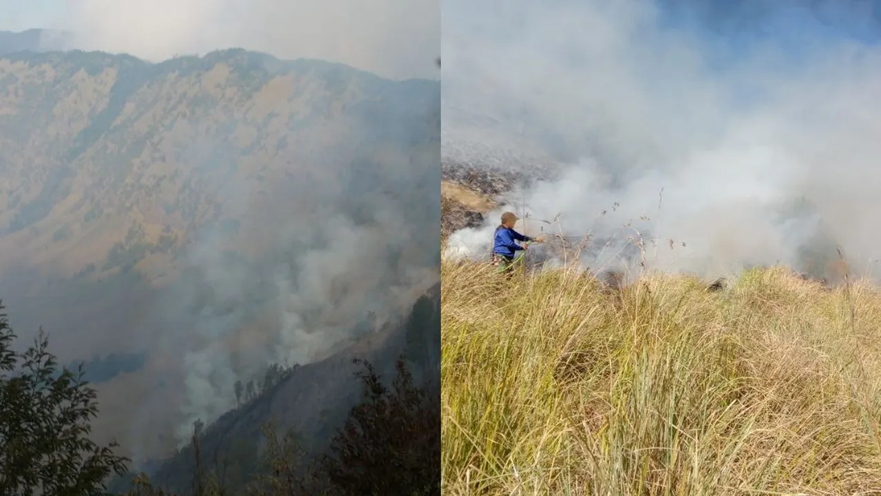 Wisata Gunung Bromo Terbakar, Balai Besar Taman Nasional Bromo Tegaskan Tutup Semua Kegiatan Pengunjung Wisata Gunung Bromo Terbakar, Balai Besar Taman Nasional Bromo Tegaskan Tutup Semua Kegiatan Pengunjung