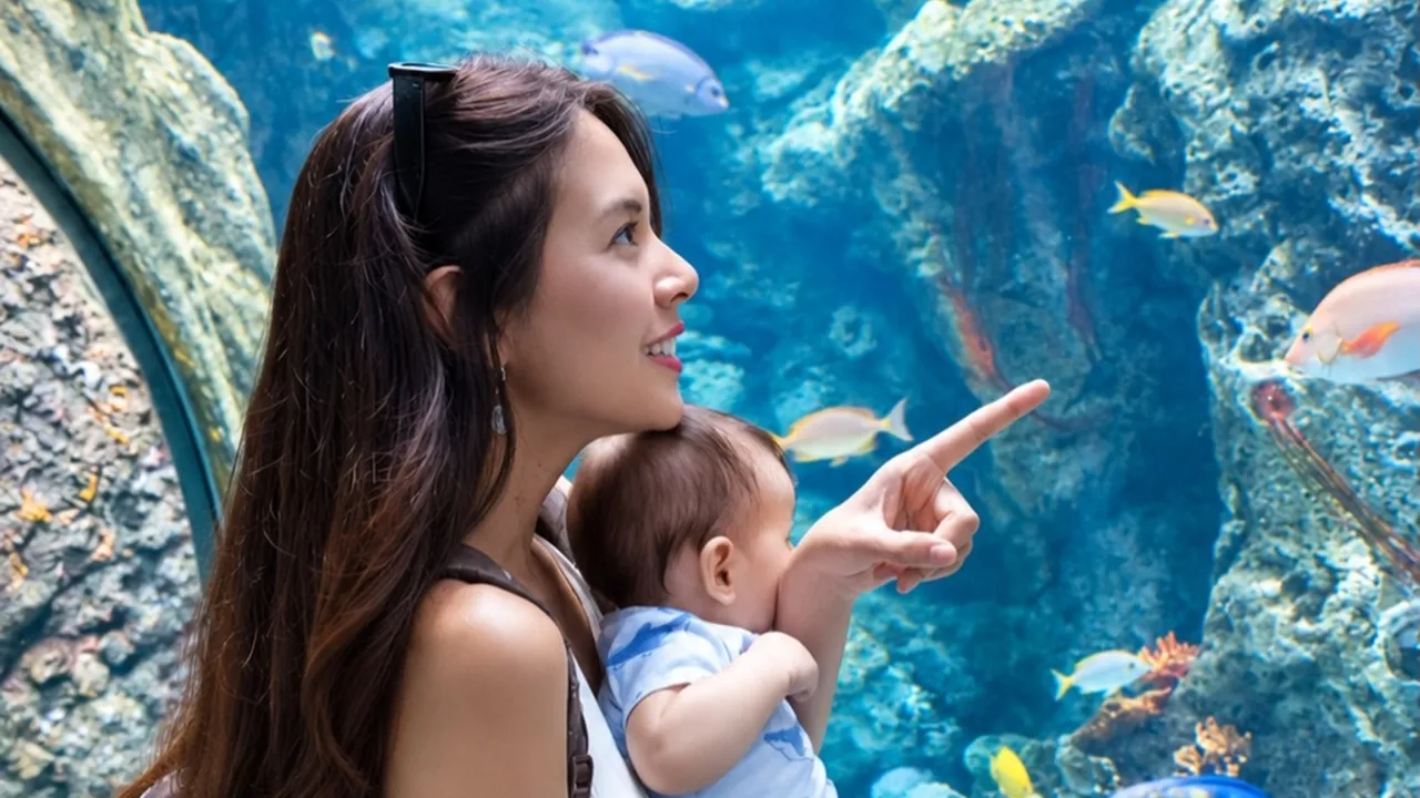水族館の大きな水槽の前で、魚を指さすアウレリー・モエルマンスと抱かれた息子トミー