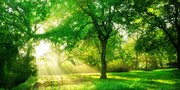 45 Kata-Kata Keindahan Alam yang Menyentuh, Jadi Nasihat untuk Selalu Menjaga Kelestarian