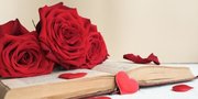 45 Kata-Kata Pujangga yang Romantis dan Penuh Makna, Bisa Jadi Gombalan yang Kece Abis