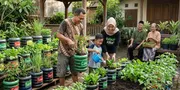 5 Cara Membuat Kebun Pangan Keluarga dari Galon Bekas, Solusi Menanam Sayur di Lahan Sempit