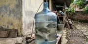 5 Ikan Air Tawar yang Cocok Dipelihara di Galon, Ada yang Bisa Langsung Dipanen di Wadah Kecil
