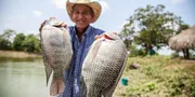 5 Jenis Ikan yang Masuk Red Flag Menurut Chef, Ini Alasan di Baliknya