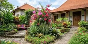 6 Tanaman Tahan Panas untuk Halaman Tanpa Kanopi, Bikin Rumah Asri dan Cantik