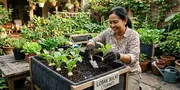 7 Tips Menanam Turnip atau Lobak Bulat di Wadah untuk Kebun Sayur Rumahan