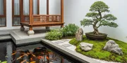 8 Desain Sudut Rumah dengan Kolam Ikan dan Gazebo, Bikin Area Santai Lebih Nyaman