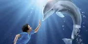 'DOLPHIN TALE', Winter Akhirnya Bisa Berenang Lagi