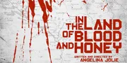 'IN THE LAND OF BLOOD AND HONEY', Terpisah Jurang Yang Menganga