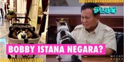 Bobby Kertanegara, Kucing Kesayangan Presiden Prabowo Pindah Ke Istana Jadi 'Kucing Kepresidenan'