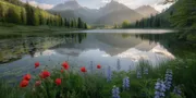 Caption Healing Alam Lucu: Kumpulan Kata-Kata Menghibur untuk Menyegarkan Pikiran