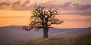 Caption Tentang Sunset: Panduan Lengkap untuk Foto Senja yang Memukau