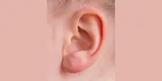 Ilmuwan Berpendapat Evolusi Telinga Manusia Bisa Jadi Berasal dari Insang Ikan Purba, Ini Penjelasannya