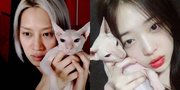 Kim Heechul Soal Kucing Sulli yang Dirawatnya: Bikin Nangis dan Pantatnya Bau