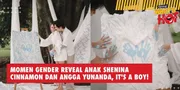 Momen Gender Reveal Anak Shenina Cinnamon dan Angga Yunanda, It's A Boy!