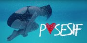 Polemik Masuk FFI 2017, Film ‘POSESIF’ Tegaskan Telah Lulus Sensor LSF