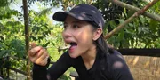Prilly Latuconsina Ngebolang di Kulon Progo, Bikin Kopi hingga Naik Flying Fox