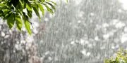 Siaga Banjir di Musim Hujan, Temukan Tips Ampuh untuk Menghadapi!