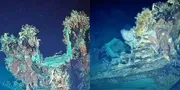 Siap Terungkap, Harta Karun di Laut Karibia Memiliki Nilai Rp312 Triliun