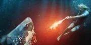 Sinopsis Film GREAT WHITE yang Tayang di TV Malam Ini, Sabtu 6 September 2025 Jam 23.00