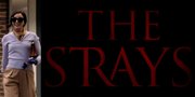 Sinopsis Film 'THE STRAYS', Film Original Netflix yang Bergenre Drama Thriller