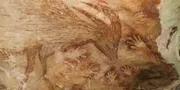 Temuan Lukisan Tertua di Dunia Ternyata Ada di Sulawesi, Sudah Berusia 51.200 Tahun