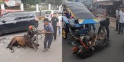Viral Kuda Delman di Cianjur Jatuh di Jalan Diduga Kelelahan, Tubuhnya Kurus Sampai Tulang Menonjol