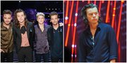 8 Fakta Solo Karir Harry Styles, Cetuskan Ide One Direction Vakum