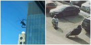 8 Foto Ini Harus Diihat 2 Kali Biar Jelas & Nggak Salah Paham