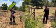 Jirayut Absen dari Panggung D'Academy 7, Ternyata 'Nanam' Sawit di Kampung Halaman