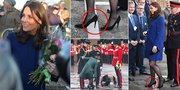 Pakai Heels Saat Hamil, Sepatu Kate Middleton Tersangkut Lubang