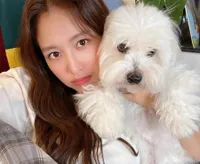10 Momen Manis Kim Jae Kyung Eks Rainbow dan Anjing Kesayangannya