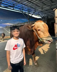 10 Potret Anak Artis Diperkenalkan Pada Makna Idul Adha Sejak Dini, Teuku Wisnu Sudah Ajari Adam Cara Potong Hewan Kurban