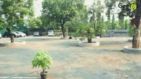 11 Potret Rumah Iwan Fals yang Dibangun di Atas Tanah Seluas 2 Hektar, Punya Lapangan Konser Berkapasitas 7 Ribu Orang
