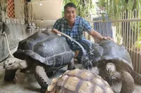 6 Potret Rumah Seleb Yang Besar Ada Kebun Binatangnya Untuk Koleksi Hewan Satwa