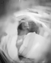 7 Potret Baby Ali Anak Vebby Palwinta yang Baru Lahir, Berkulit Putih dan Tampan - Hidungnya Mancung