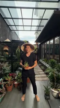 7 Potret Dapur Herbal Anji yang Estetik dan Fungsional, Banyak Tanaman Bermanfaat