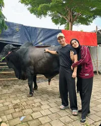 7 Potret Fairuz A Rafiq yang Kakinya Terinjak Sapi Kurban Seberat 1 Ton Lebih, Alami Bengkak dan Memar