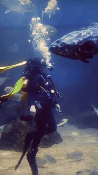 7 Potret Fuji Jajal Scuba Diving, Bawa Foto Gala - Bikin Bangga sang Ponakan