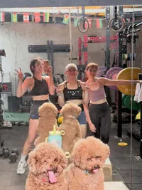 7 Potret Gisella Anastasia Latihan Jelang Ikuti HYROX di Korea, Definisi Cewek Strong