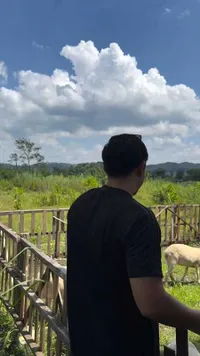 7 Potret Peternakan Domba Ayudia Bing Slamet di Klaten, View Indah bak di Swiss