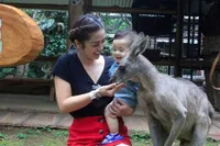 7 Potret Selvi Kitty Ajak Buah Hatinya ke Taman Safari, Asyik Main Sama Orang Utan