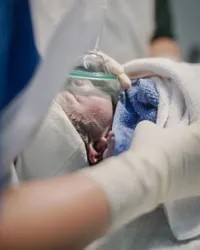 8 Potret Baby Zyzy Putra Semata Wayang Kesha Ratuliu yang Kini Sudah Genap 1 Tahun, Makin Ganteng dan Menggemaskan - Bakal Punya Adik