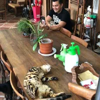 8 Potret Dian Nitami dan Anjasmara Bersama Kucing, Anak Udah Pada Besar Beruntung Punya Anabul