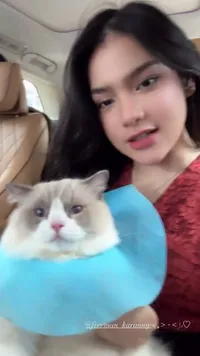 8 Potret Gemas Kucing Davina Karamoy Temani Syuting, Bawa Stroller Khusus dan Takut Dengar Telolet